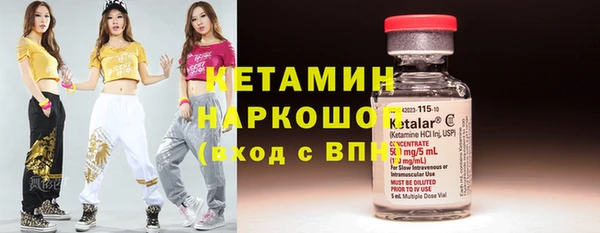 прущие грибы Гусиноозёрск
