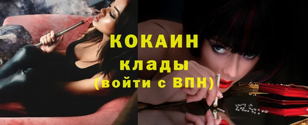 Альфа ПВП Горняк