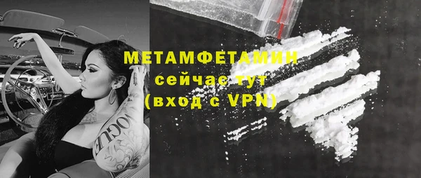 прущие грибы Гусиноозёрск