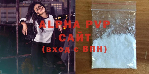 Альфа ПВП Горняк