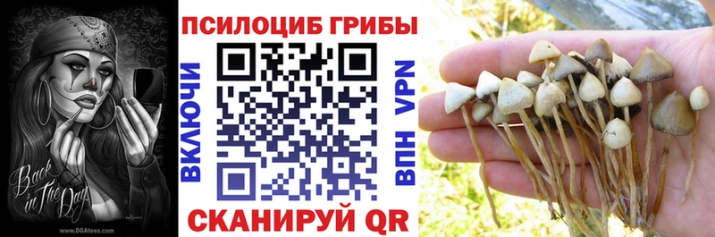 Галлюциногенные грибы Magic Shrooms  Купить закладки  Мурино 